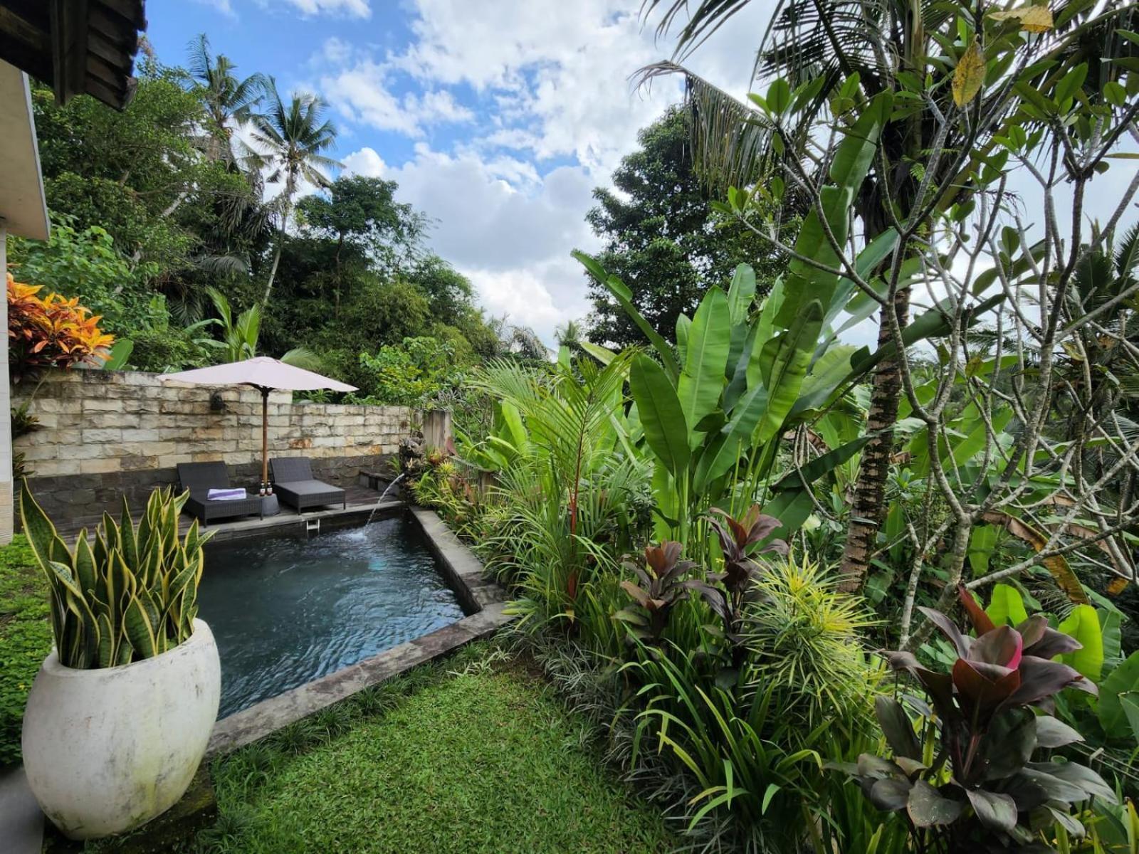 Taluh Bebek Ubud Private Villas Exterior foto